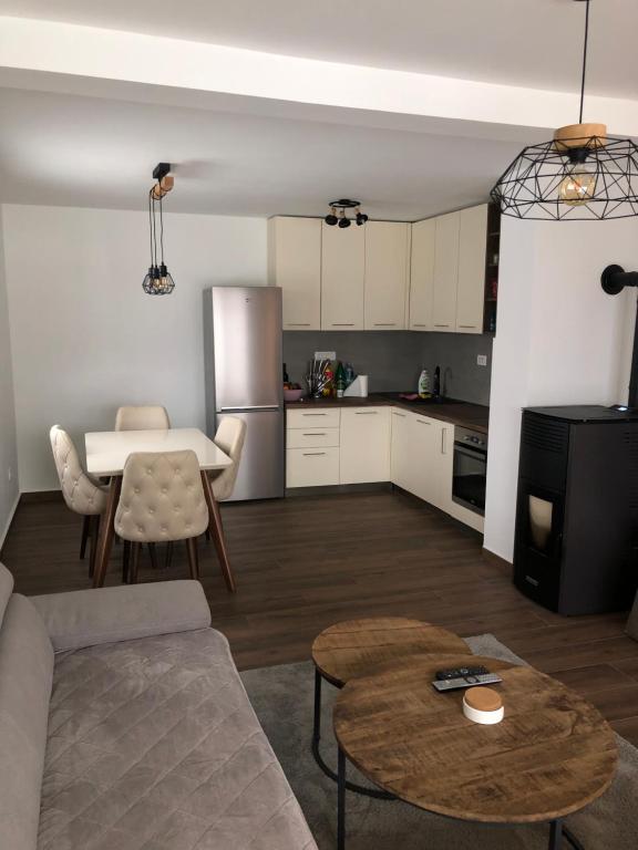 Kuchyň nebo kuchyňský kout v ubytování Guest house Elena