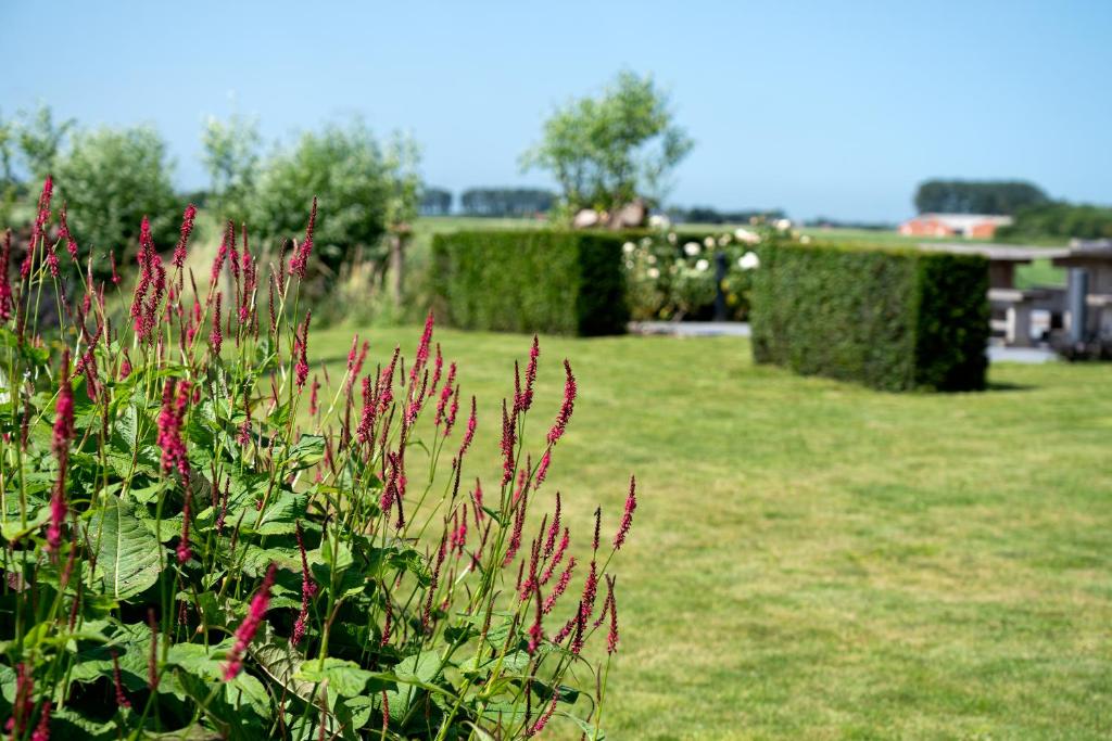 Zahrada ubytování B&B De Hemelse Polder