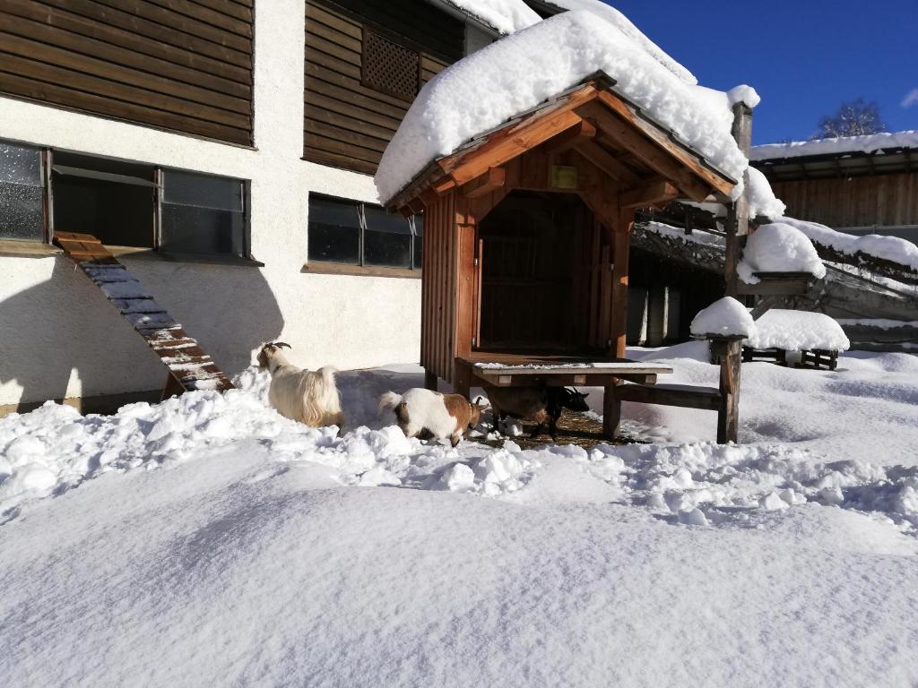Zweimäderlhaus v zime