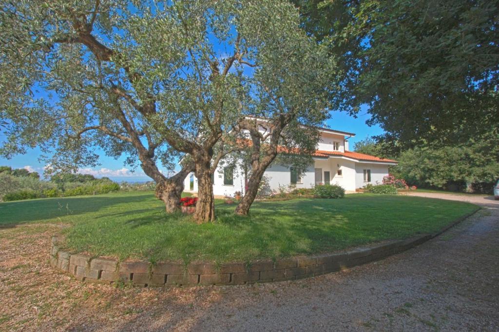 Vonkajšia záhrada v ubytovaní Villa Stauder