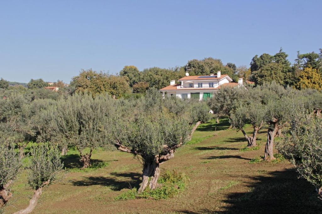 Vonkajšia záhrada v ubytovaní Villa Stauder
