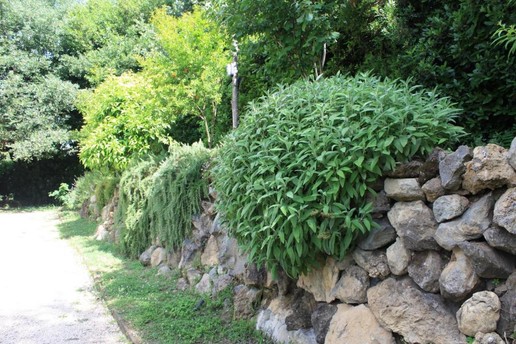 Vonkajšia záhrada v ubytovaní Villa Stauder
