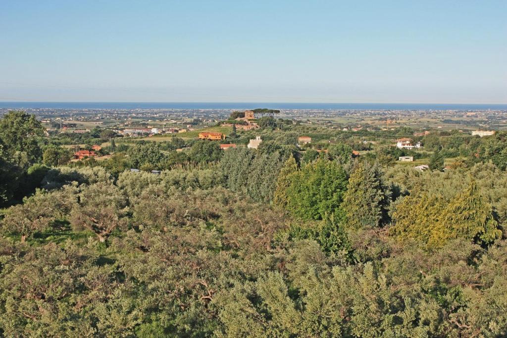 Príroda v okolí apartmánu