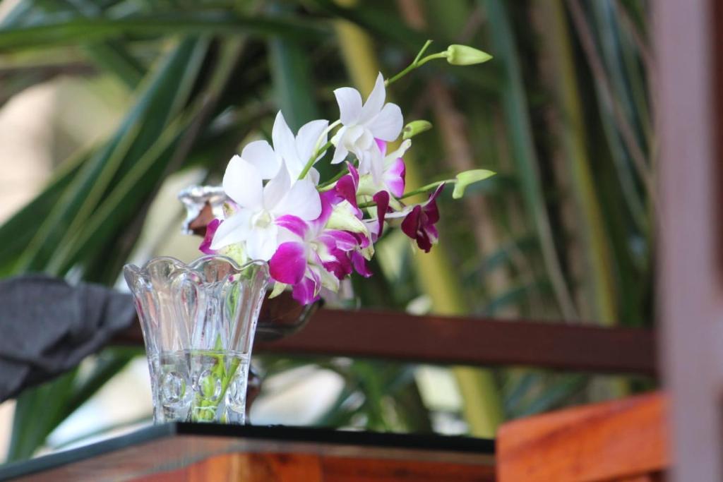 Fotografie z fotogalerie ubytování Agonda Wellness v destinaci Agonda
