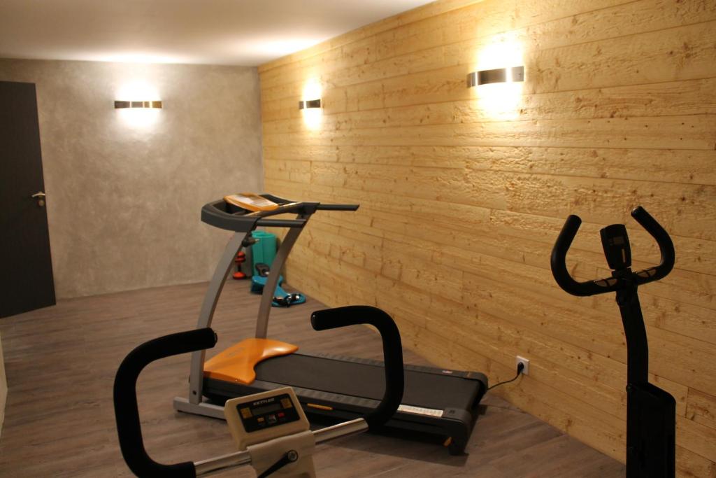 Fitness centrum a/nebo fitness zařízení v ubytování Les Moineaux
