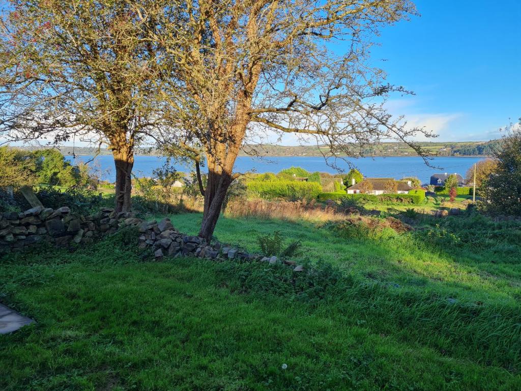 ein Feld mit zwei Bäumen und einer Steinmauer in der Unterkunft 'The Haven' at Tranquil Water in Midleton