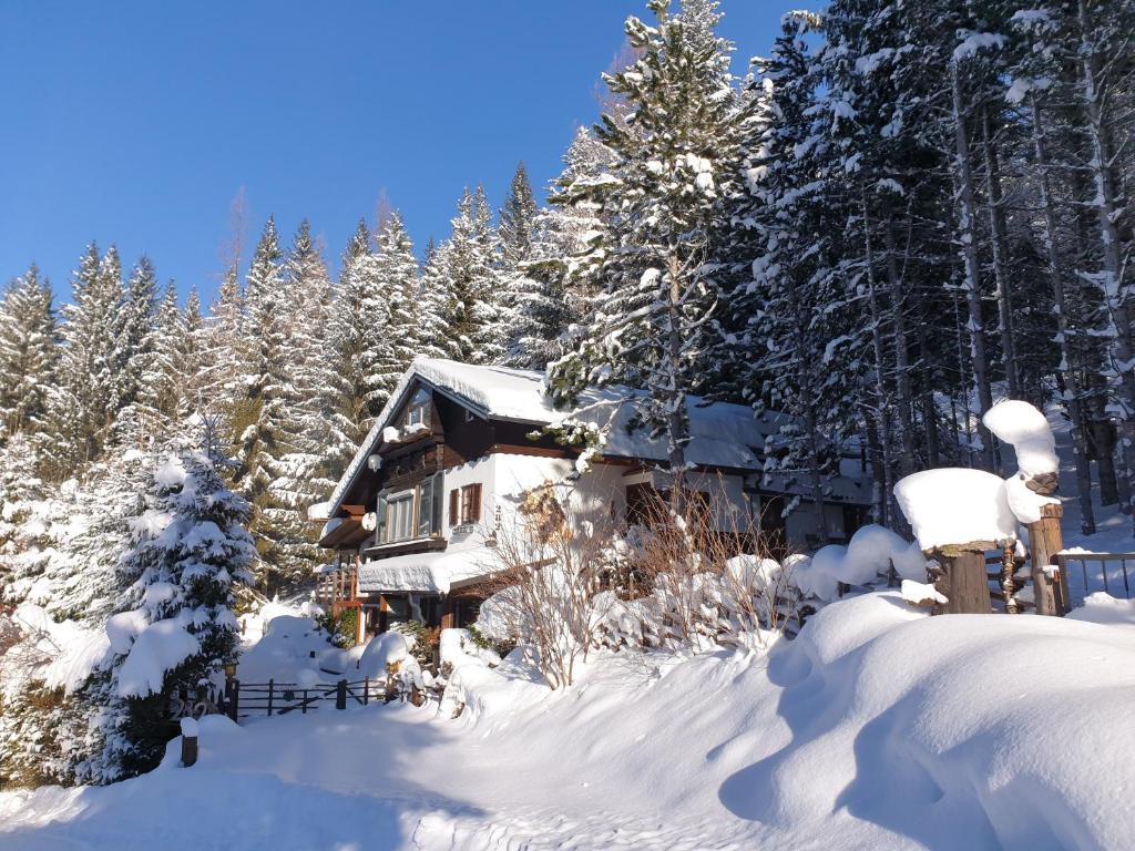 バート・ザンクト・レオンハルト・イム・ラヴァントタールにあるAlm-Ferienhaus Gaisegg am Klippitztörlの雪に覆われた森の小屋