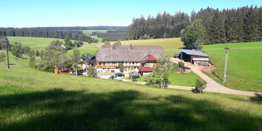 eine Luftansicht eines großen Hauses auf einem Feld in der Unterkunft Willmannshof in Furtwangen