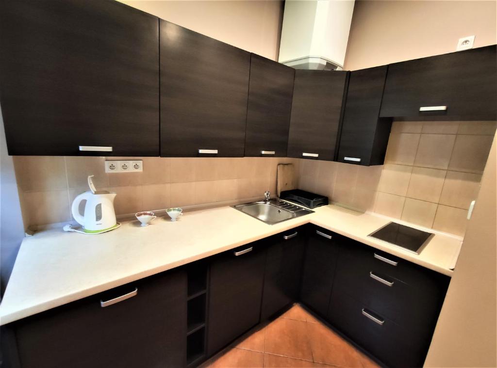 Kuchyňa alebo kuchynka v ubytovaní Abak Krakow Apartment