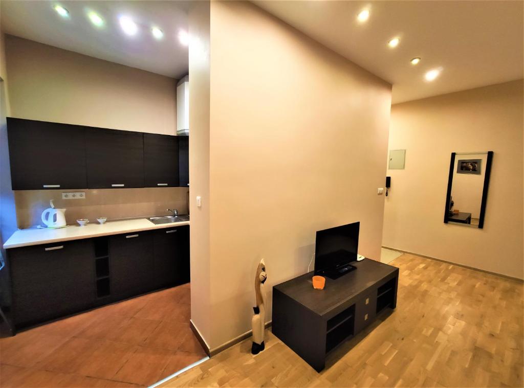 Televízia a/alebo spoločenská miestnosť v ubytovaní Abak Krakow Apartment