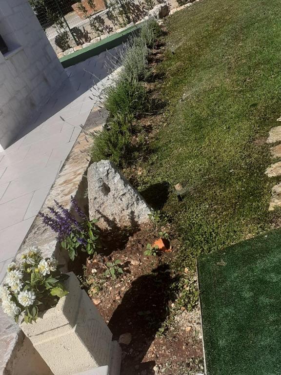 A garden outside CasaVacanza nonna Vita