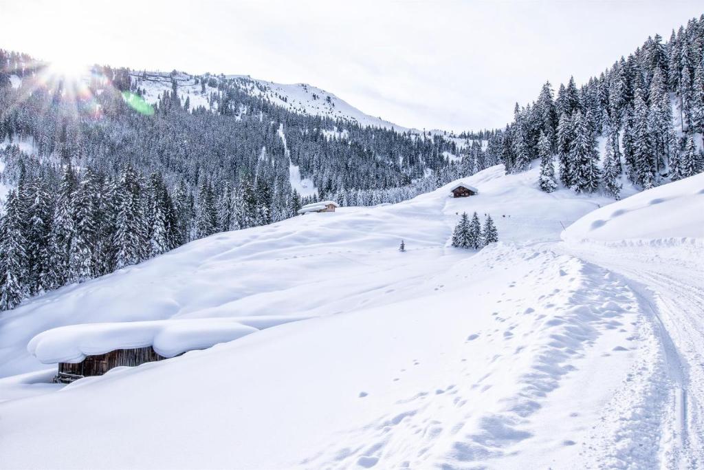 Lodge Schönfeld v zimě