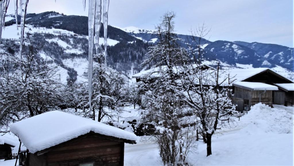AlpinResort DerBacherhof v zimě