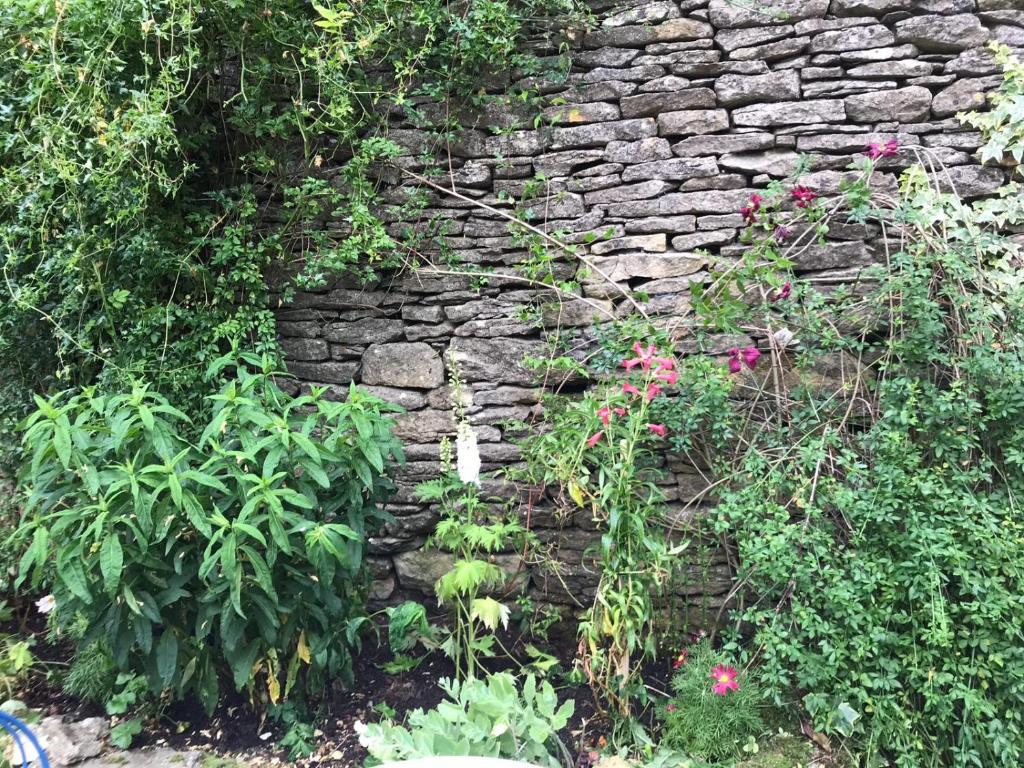 eine Steinmauer mit einigen Pflanzen und Blumen in der Unterkunft Lucy's Tearoom in Stow on the Wold