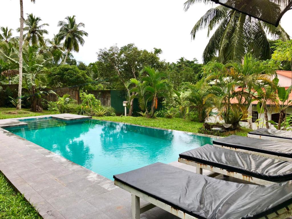 The swimming pool at or close to Garden Haven Hikkaduwa