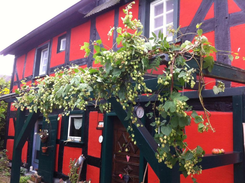 un edificio rojo y negro con un montón de plantas en Ferienwohnung Rotes Fachwerkhaus, en Windeck