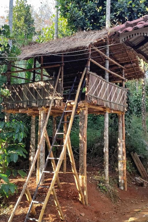 a wooden hut with a ladder in a forest at Wayanad Days in Mananthavady