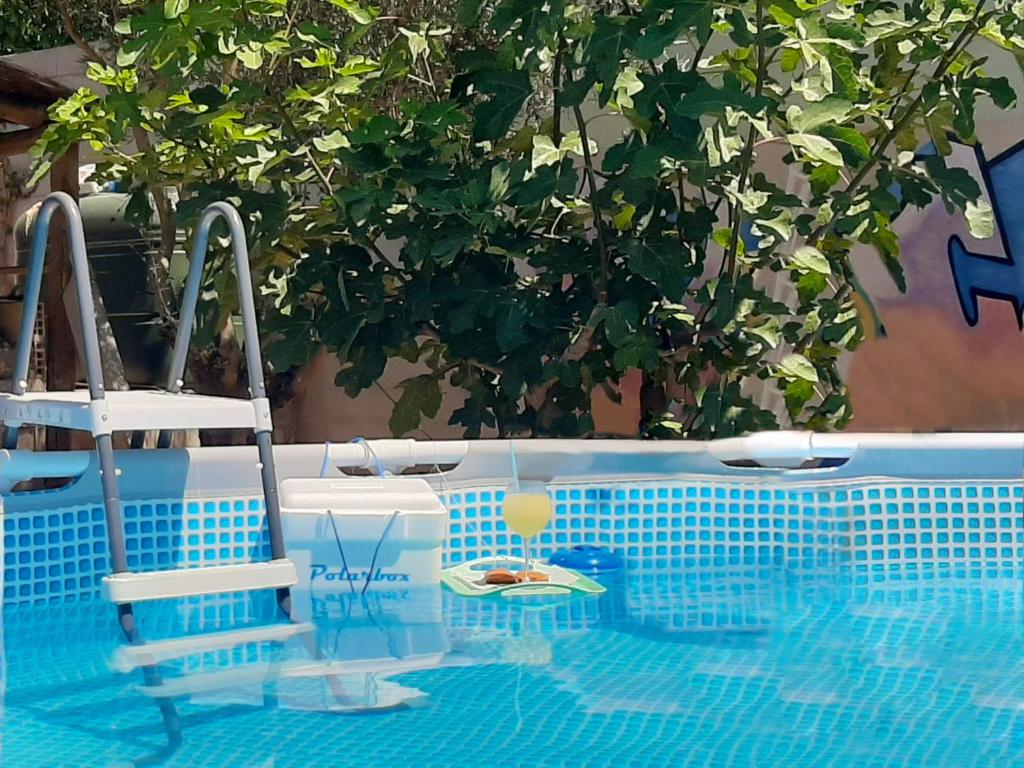Piscina en o cerca de Rio Indio Rural Home with pool