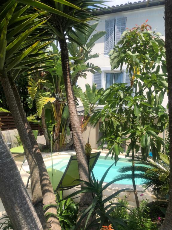 une piscine avec des palmiers devant une maison dans l'établissement STUDETTE Beausejour, à Cannes