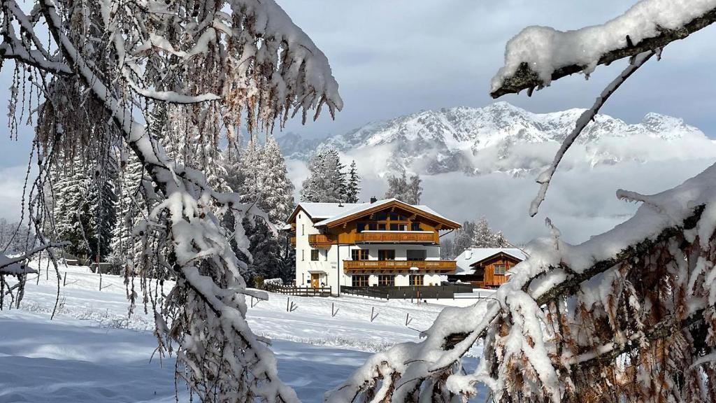 Appartement Schwab Ski in & Out v zimě