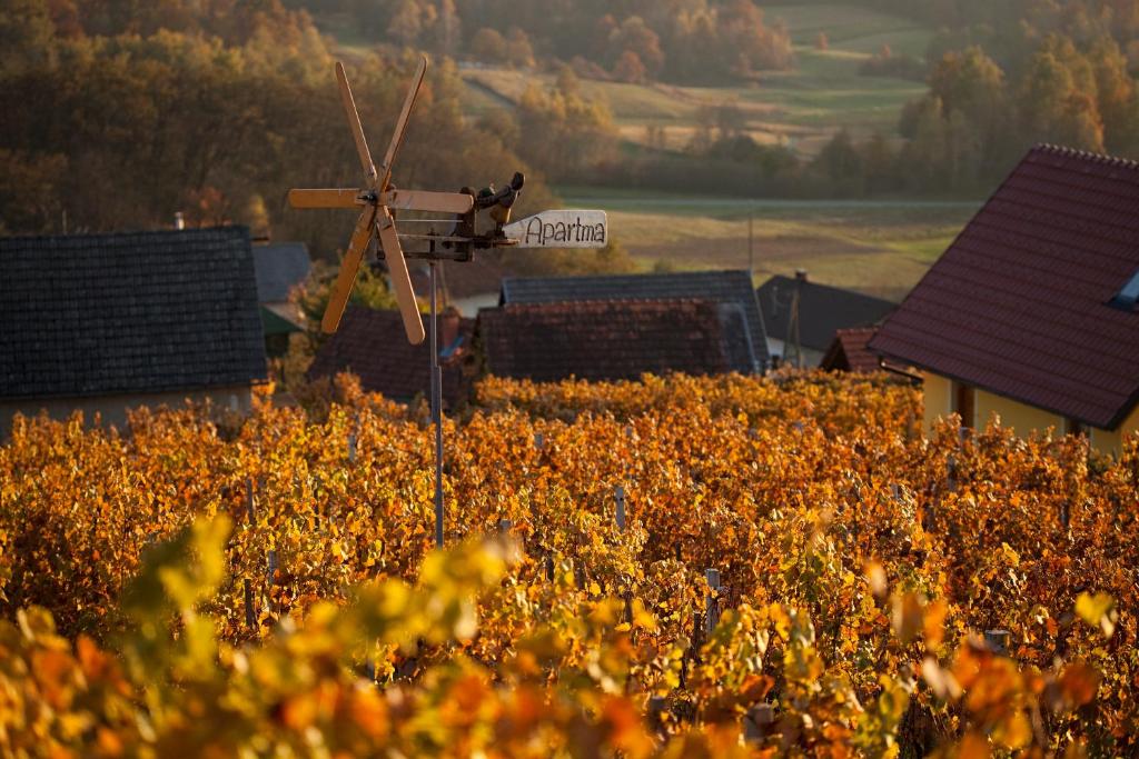 Vineyard Cottage Brodaric - Maison De Vacances De Deux Chambres Avec Terrasse