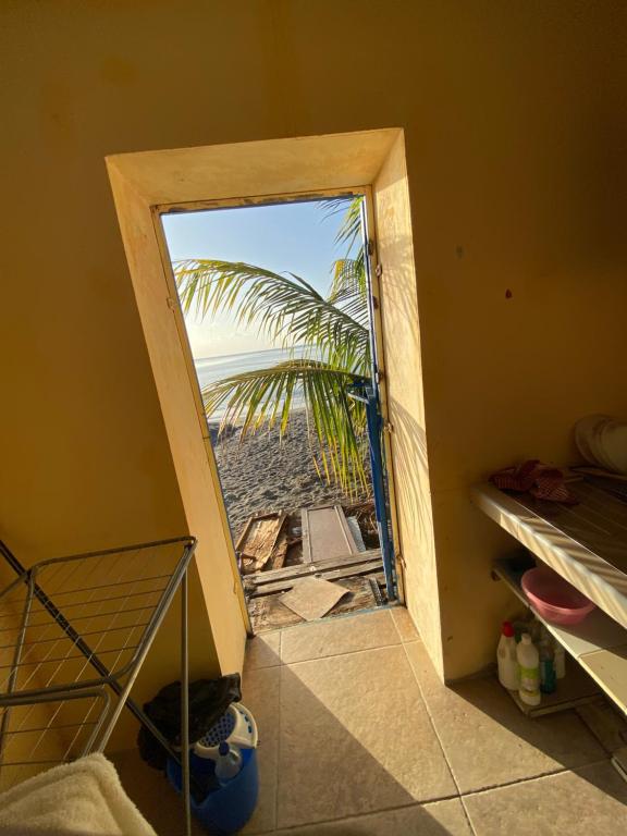 a door to a room with a view of a palm tree at kolay chambre HOTE in Saint-Pierre