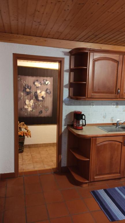 Kuchyň nebo kuchyňský kout v ubytování Alp House