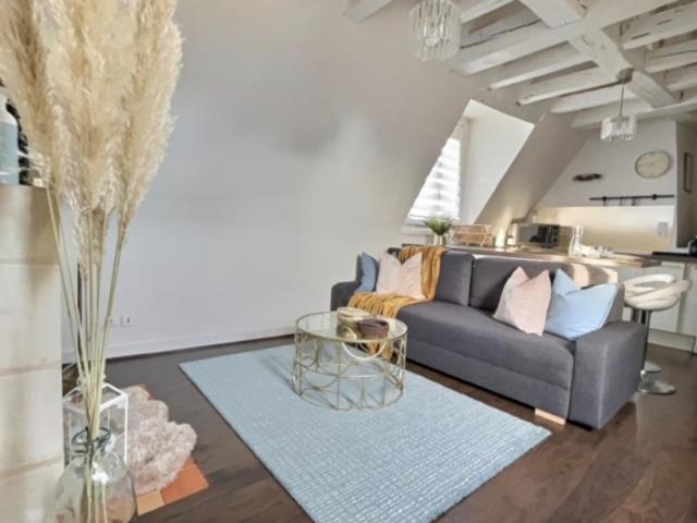 La Plume - Hypercentre - Place Plumereau - One-Bedroom Apartment