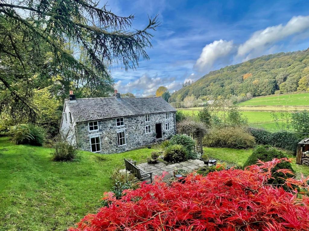 an old stone house in the middle of a field at Rock Cottage in Llanfyllin