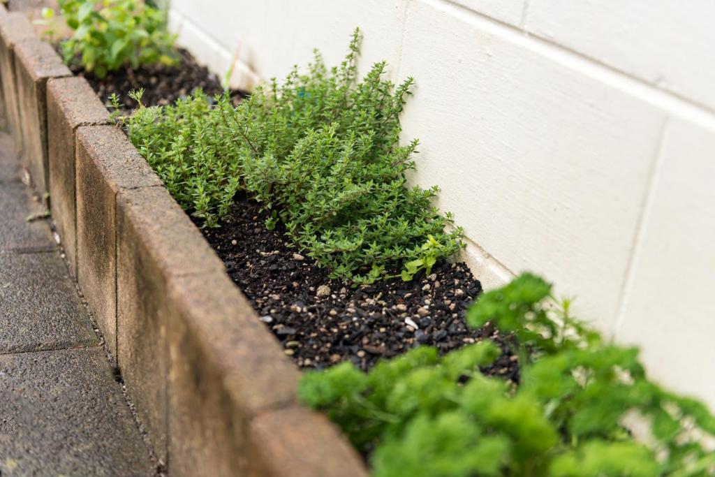 Bay of Islands Lodge - Resim 30