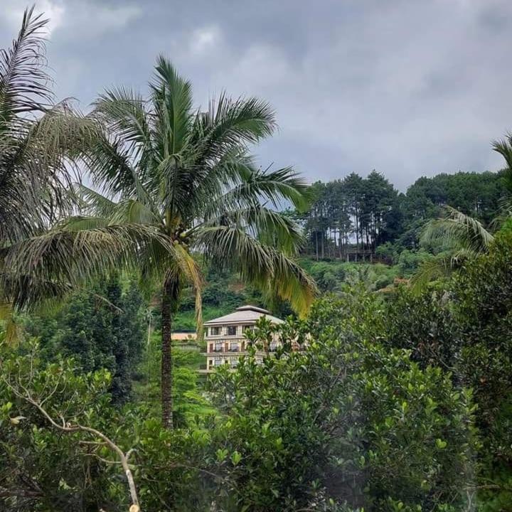 Aed väljaspool majutusasutust Albero Hotel Bogor