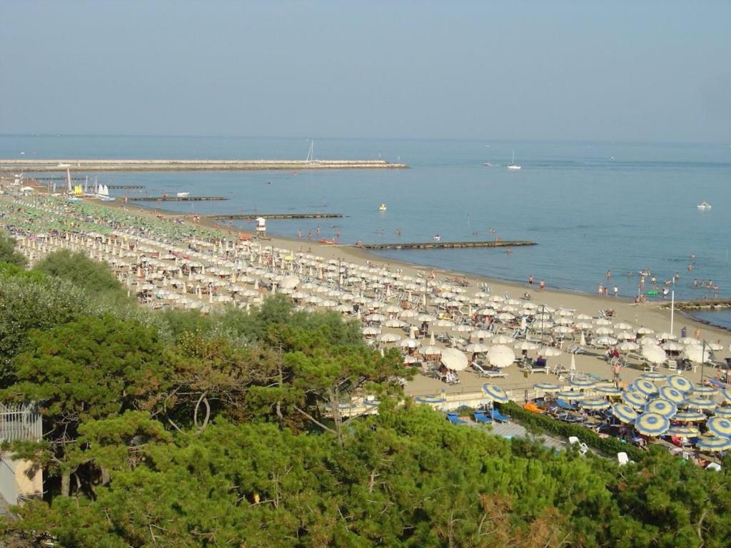 Príroda v okolí apartmánu