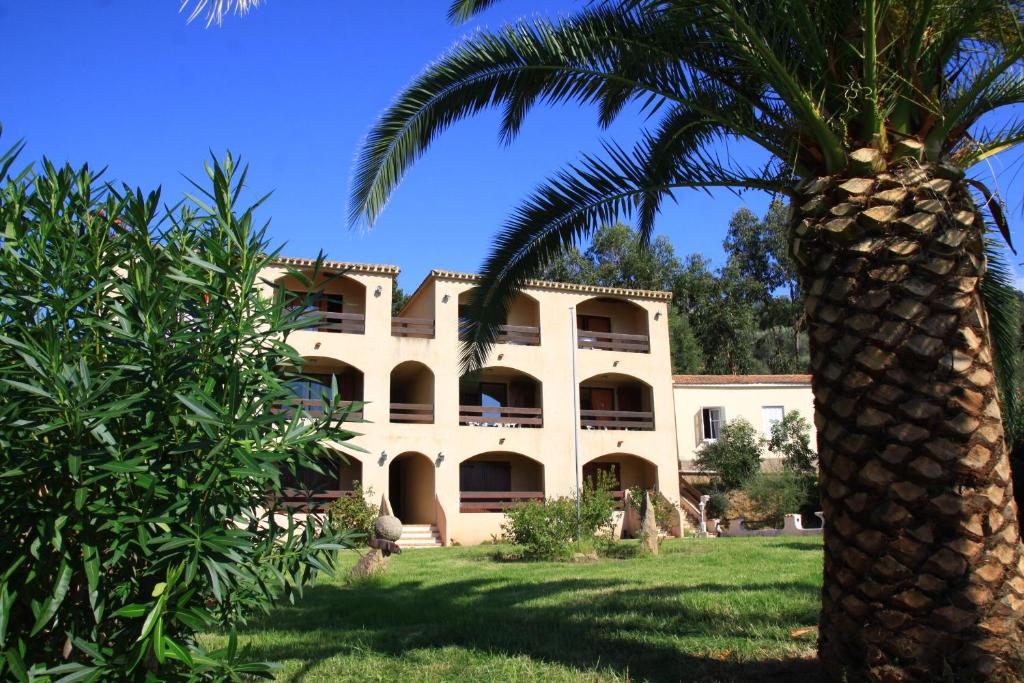 a palm tree in front of a building at 4 people apartment 350 m from the sea in Casaglione