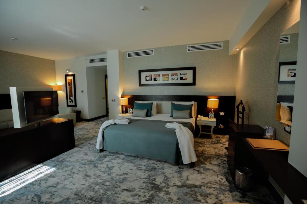 Baia Bursa Hotel - 初级套房