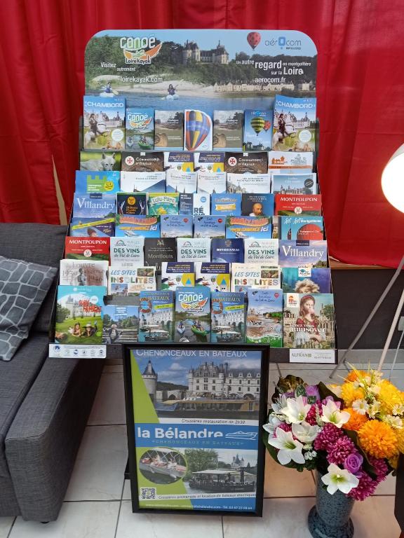 Fotografie z fotogalerie ubytování Astrotel Romorantin-Lanthenay Soirée étape v destinaci Romorantin