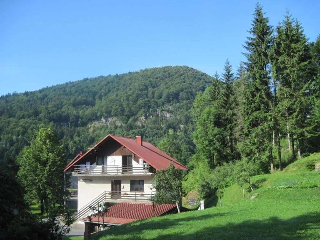 a house on a hill with a mountain in the background at Apartment Kremžar Lokve in Lokve