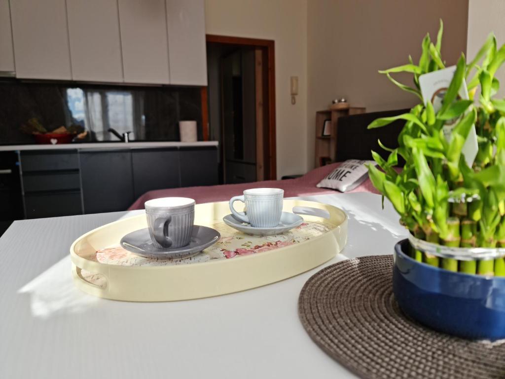 Lovely one bedroom studio in Tirana - Imazhi 12
