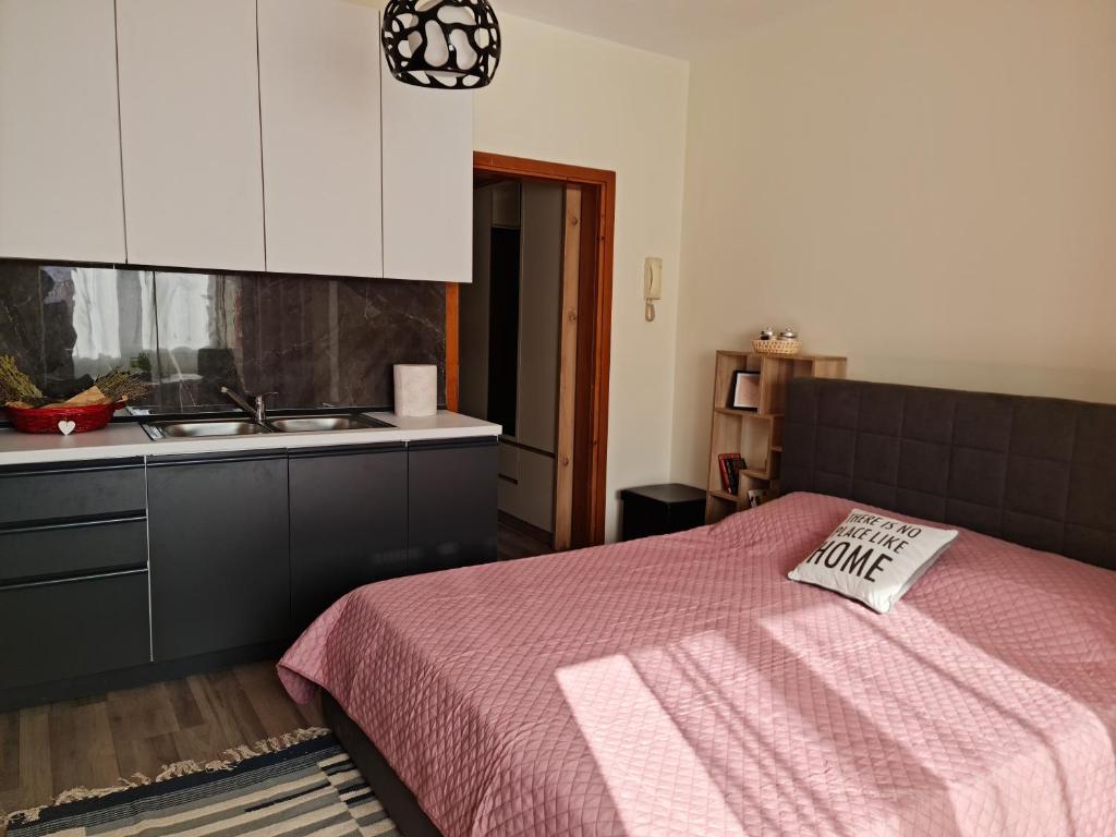 Lovely one bedroom studio in Tirana - Imazhi 5