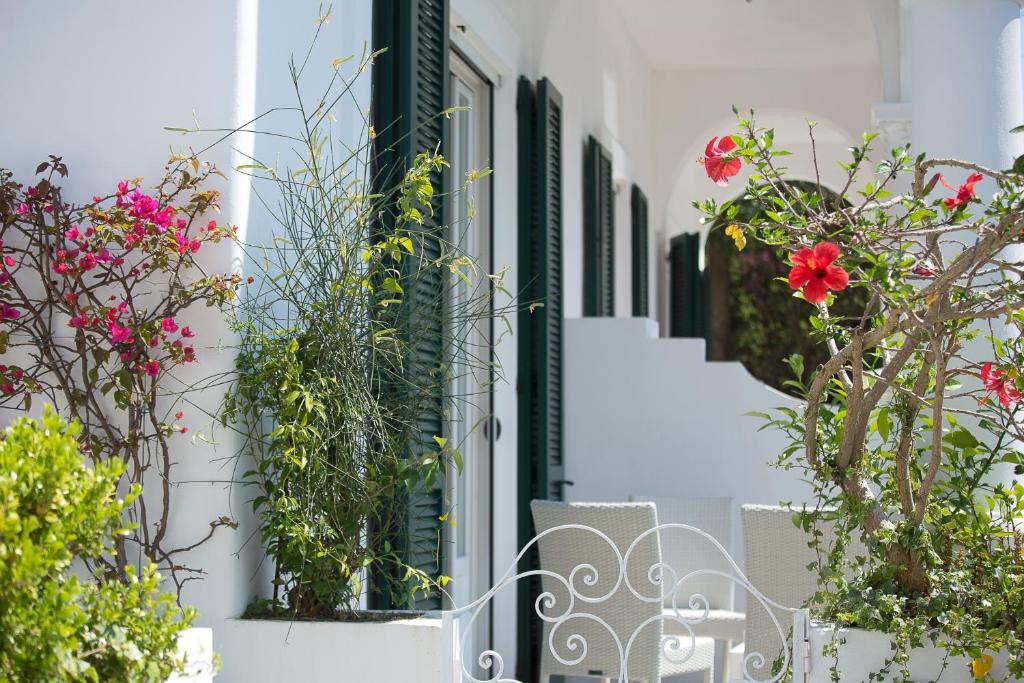 Zahrada ubytování Villa Mariuccia Capri