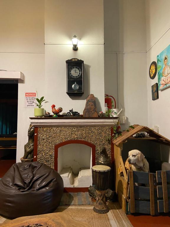 Posezení v ubytování The Birdhouse Backpackers Hostel