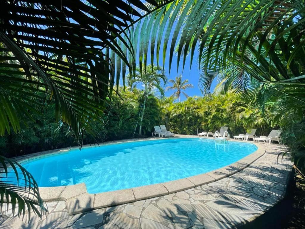 a large swimming pool with chairs and palm trees at Maison cosy avec piscine à Sainte-Rose in Sainte-Rose
