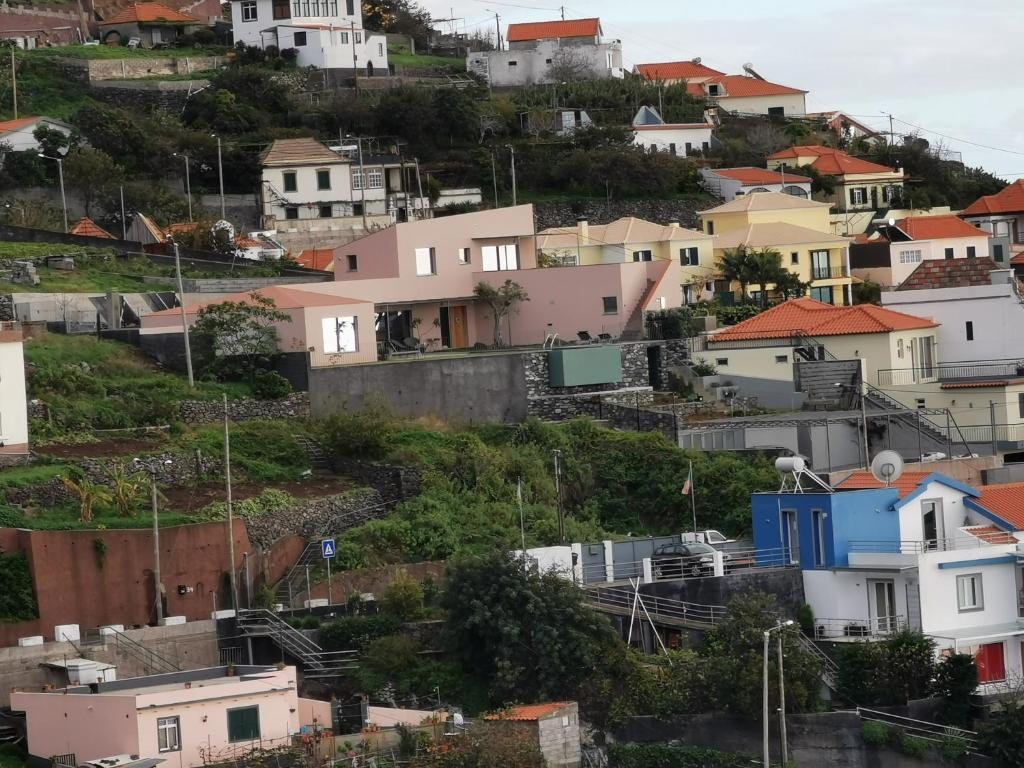 un groupe de maisons sur une colline dans l'établissement Casa Atlantico Suite, à Ribeira Brava