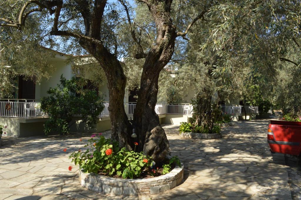Vonkajšia záhrada v ubytovaní Guesthouse Irene