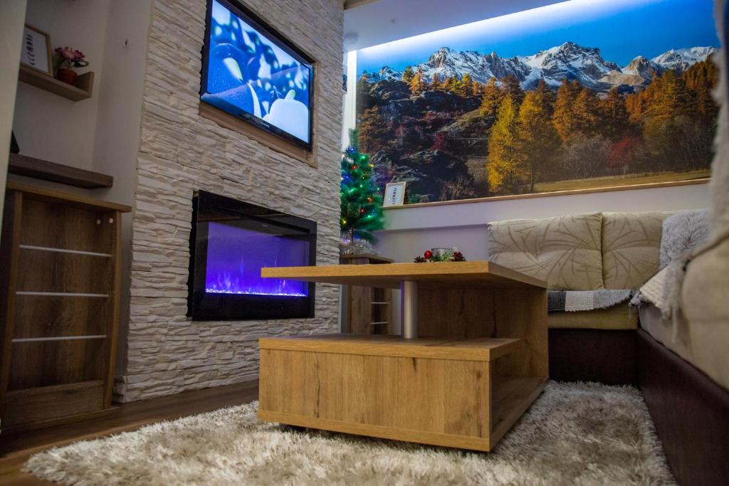 TV a/nebo společenská místnost v ubytování SKS