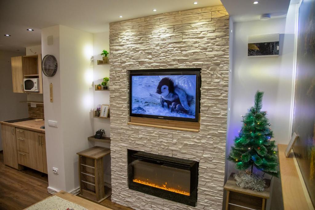 TV a/nebo společenská místnost v ubytování SKS