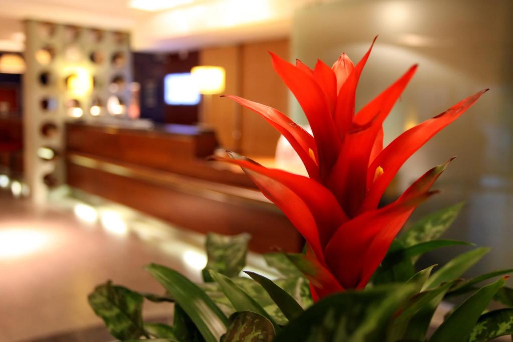 a red flower sitting next to a potted plant at Holiday Inn Express Southampton - M27, J7, an IHG Hotel in Southampton