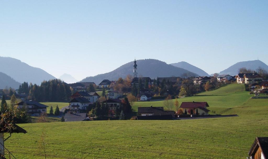Příroda nedaleko apartmánu