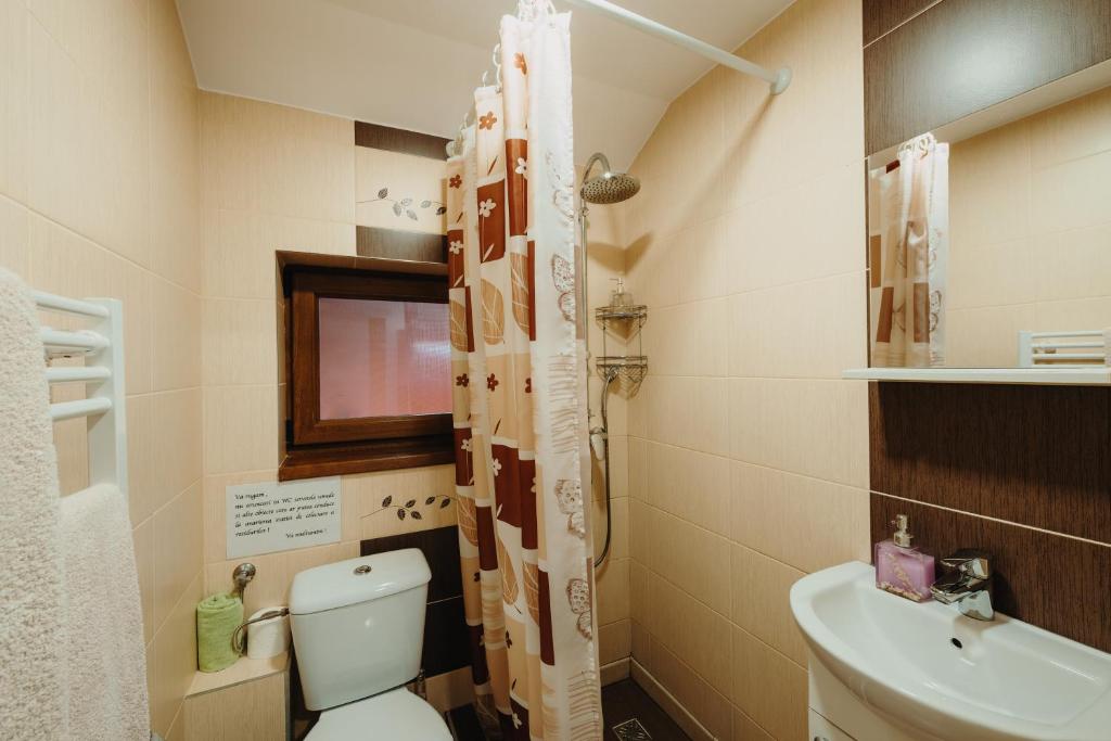 Pensiunea Alin - Double Room With Private Bathroom