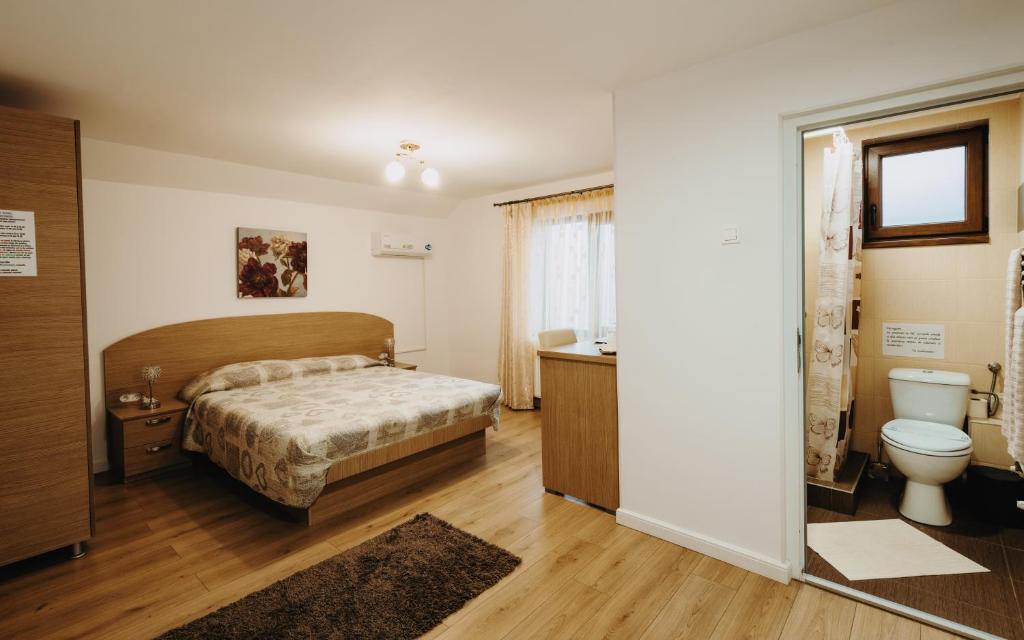 Pensiunea Alin - Double Room With Private Bathroom