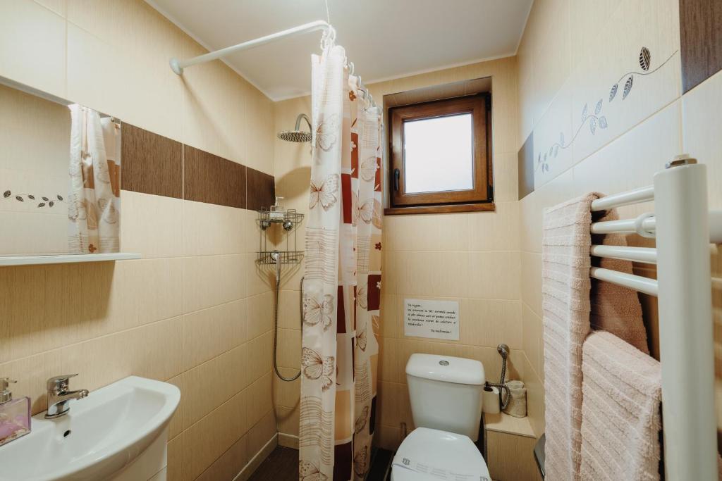 Pensiunea Alin - Double Room With Private Bathroom